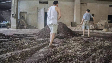 茅台硅茅酒零售价与旅游开发项目策划咨询